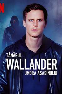 Young Wallander - Posters