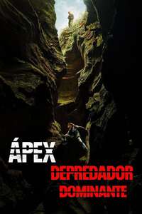 APEX - Posters