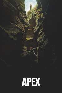 APEX - Posters