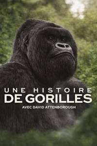 A Gorilla Story: Told by David Attenborough - Posters