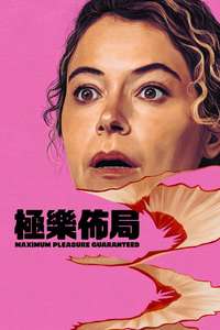 Maximum Pleasure Guaranteed - Posters