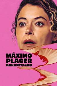 Maximum Pleasure Guaranteed - Posters