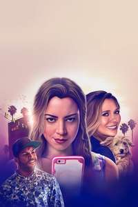 Ingrid Goes West - Posters
