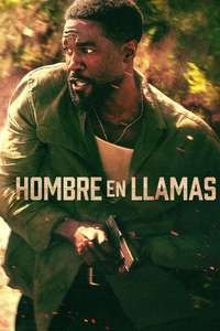 Man on Fire - Posters