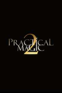 Practical Magic 2 - Posters