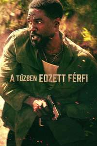 Man on Fire - Posters