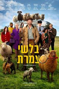 The Sheep Detectives - Posters