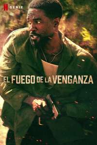 Man on Fire - Posters