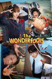 The WONDERfools - Posters
