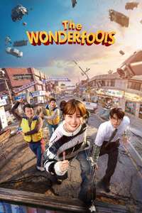 The WONDERfools - Posters