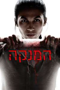 The Cleaning Lady - Posters
