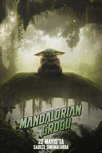 Star Wars: The Mandalorian and Grogu - Posters