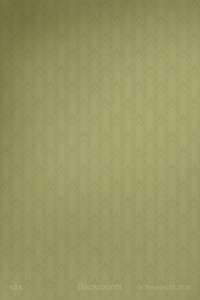 Backrooms - Posters