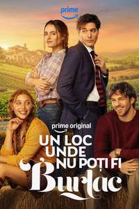 No Place to Be Single - Posters