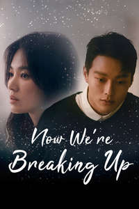 Now  We Are Breaking Up - Posters