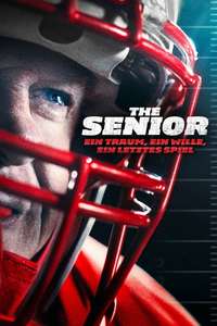 The Senior - Posters