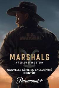 Y: Marshals - Posters