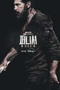 The Punisher: One Last Kill - Posters