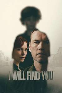 I Will Find You - Posters