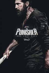The Punisher: One Last Kill - Posters