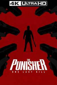 The Punisher: One Last Kill - Posters