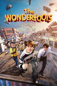 The WONDERfools - Posters