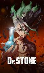Dr. Stone