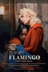 The Mysterious Gaze of the Flamingo - Posters