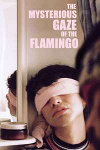 The Mysterious Gaze of the Flamingo - Posters