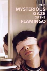 The Mysterious Gaze of the Flamingo - Posters