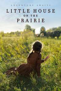 Little House on the Prairie - Posters