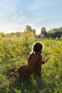 Little House on the Prairie - Posters