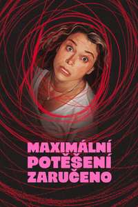 Maximum Pleasure Guaranteed - Posters