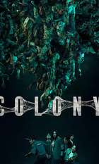 Colony