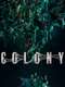 Colony