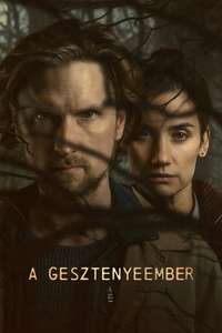 The Chestnut Man - Posters