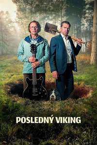 The Last Viking - Posters