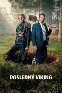 The Last Viking - Posters