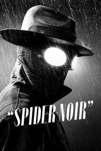 Spider-Noir - Posters