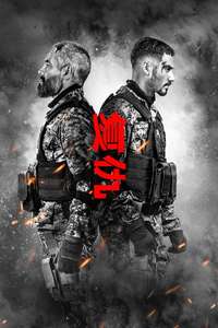 Vengeance - Posters