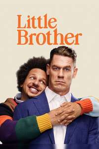 Little Brother - Posters