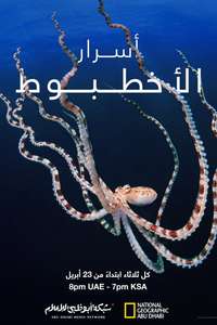 Secrets of the Octopus - Posters