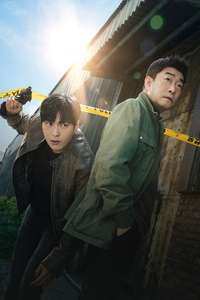 The Good Detective - Posters