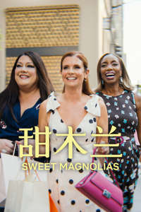 Sweet Magnolias - Posters