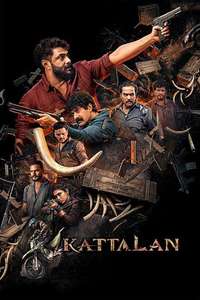 Kattalan - Posters