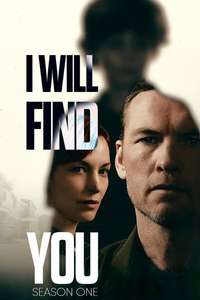 I Will Find You - Posters