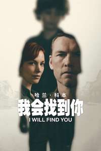 I Will Find You - Posters