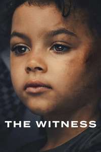 The Witness - Posters