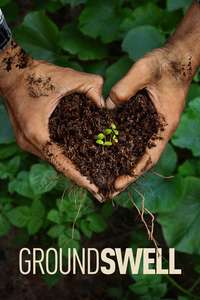 Groundswell - Posters