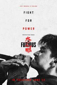 The Furious - Posters